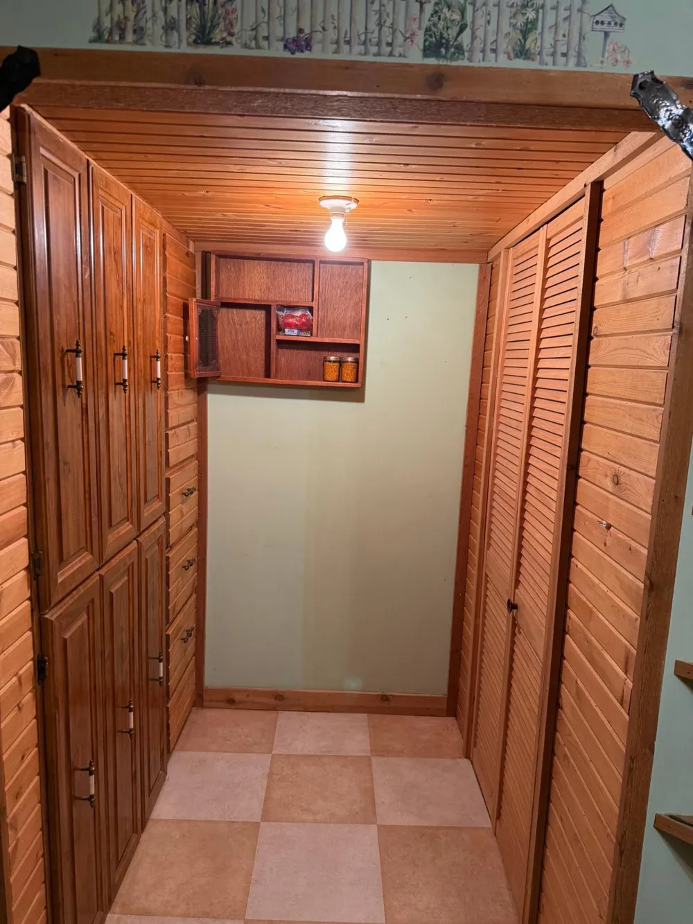 248 4th Street Dawson, MN 56232
