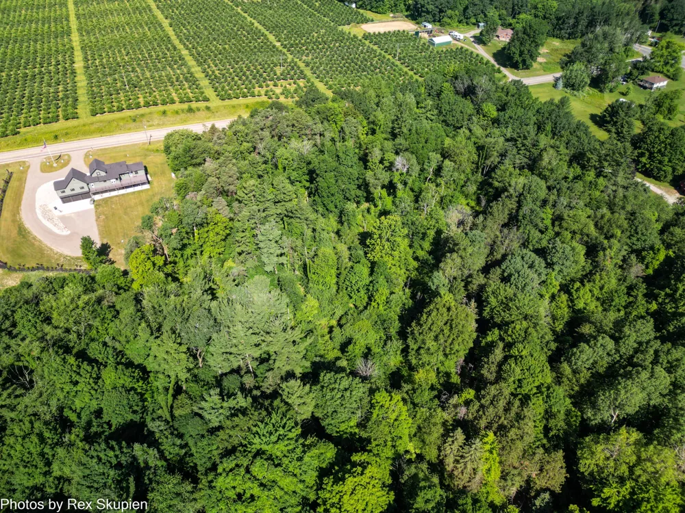 17090 Kenowa Avenue Kent City, MI 49330