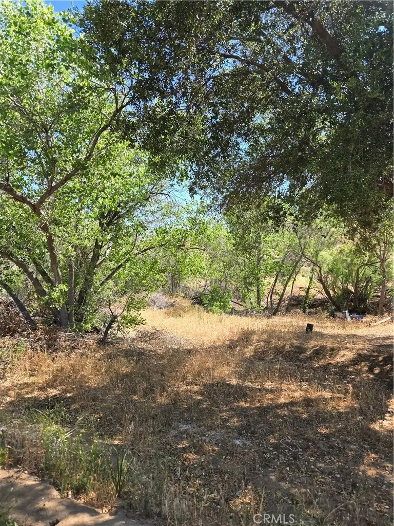 Los Altos Sage, CA 92544