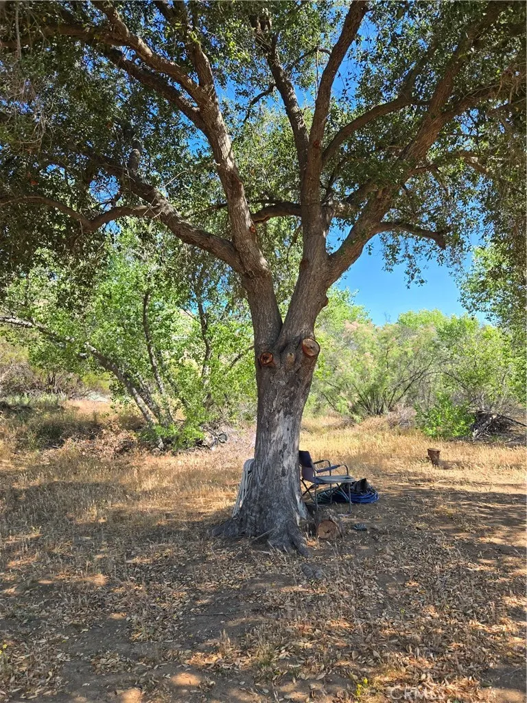 Los Altos Sage, CA 92544