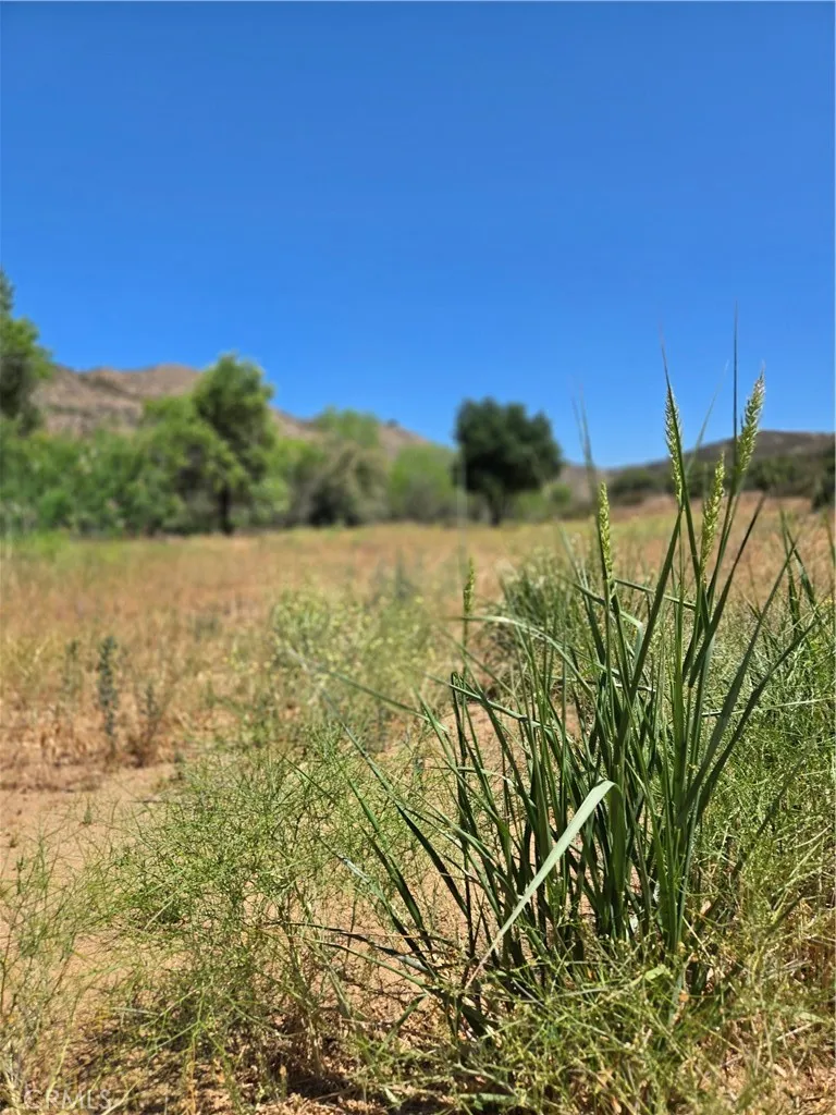 Los Altos Sage, CA 92544