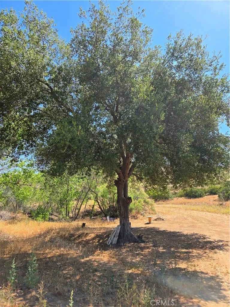 Los Altos Sage, CA 92544