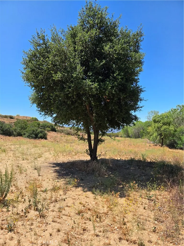 Los Altos Sage, CA 92544