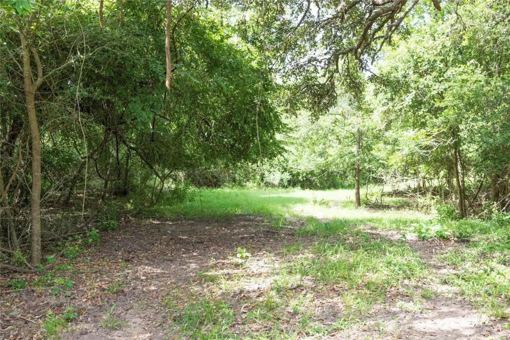Cr 212 - Tract 6 Hallettsville, TX 77964