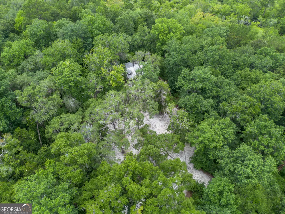 1360 Douglas Fish Camp RD White Oak, GA 31568