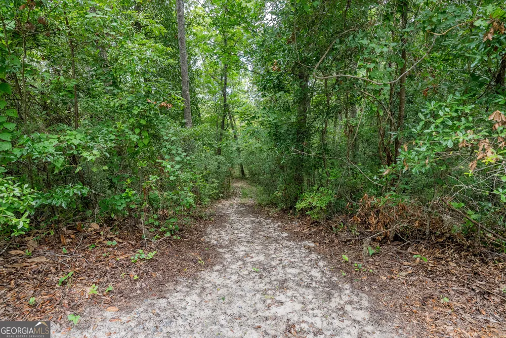 1360 Douglas Fish Camp RD White Oak, GA 31568