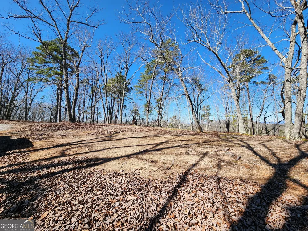 0 Nichols Cove DR Dawsonville, GA 30534