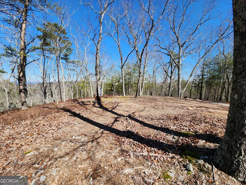 0 Nichols Cove DR Dawsonville, GA 30534