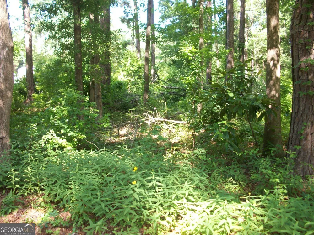 43 Shady LN Jackson, GA 30233