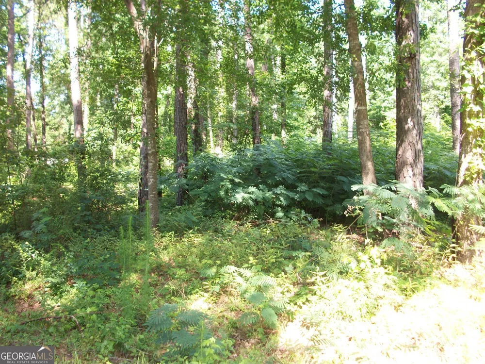 43 Shady LN Jackson, GA 30233