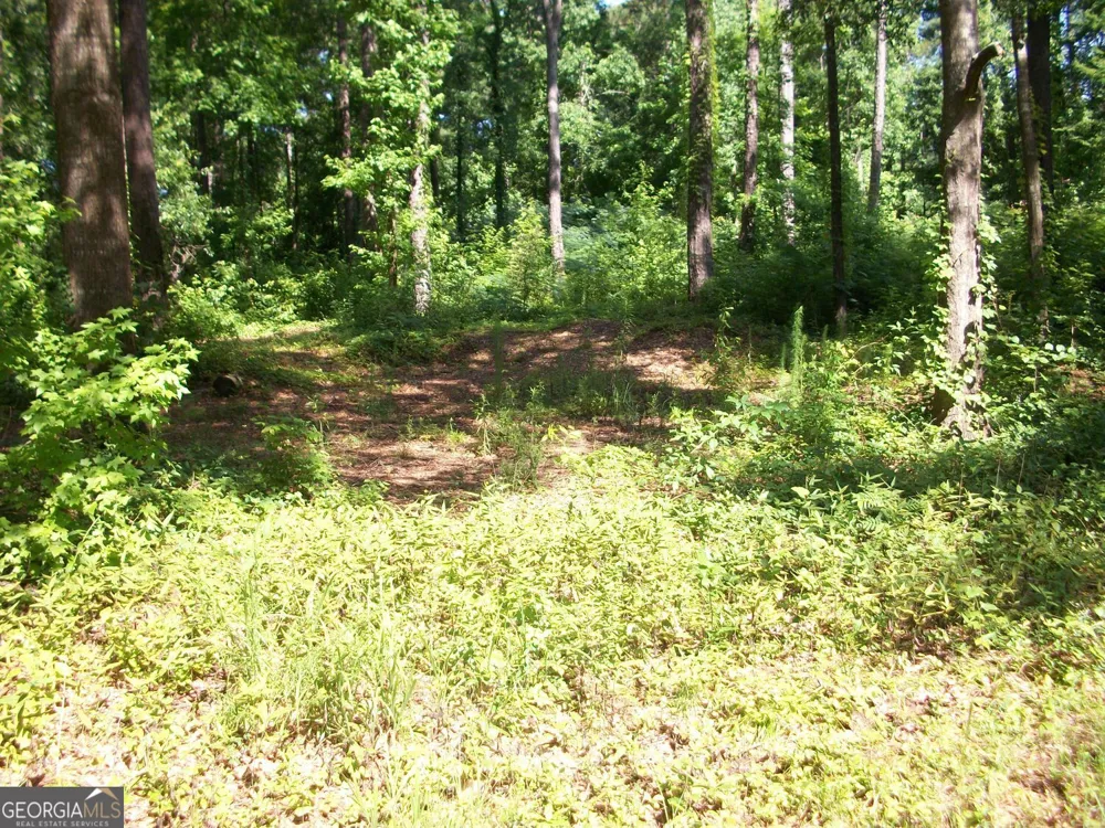 43 Shady LN Jackson, GA 30233