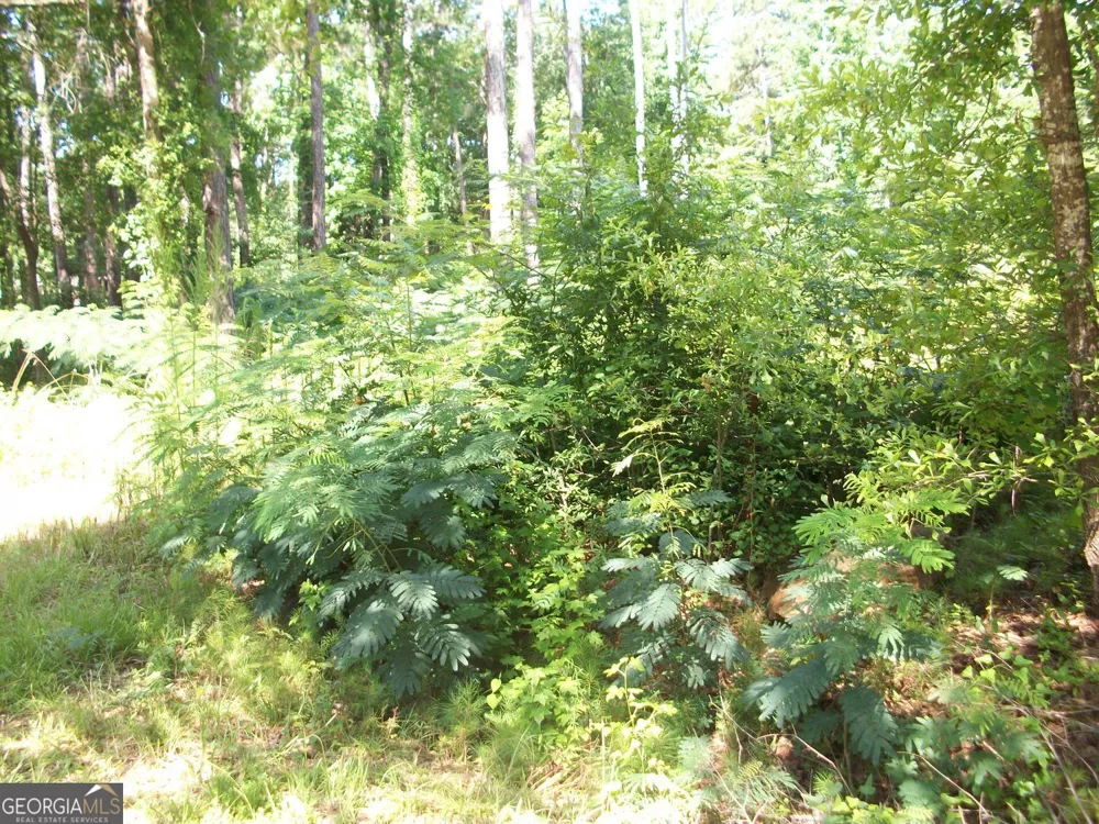 43 Shady LN Jackson, GA 30233