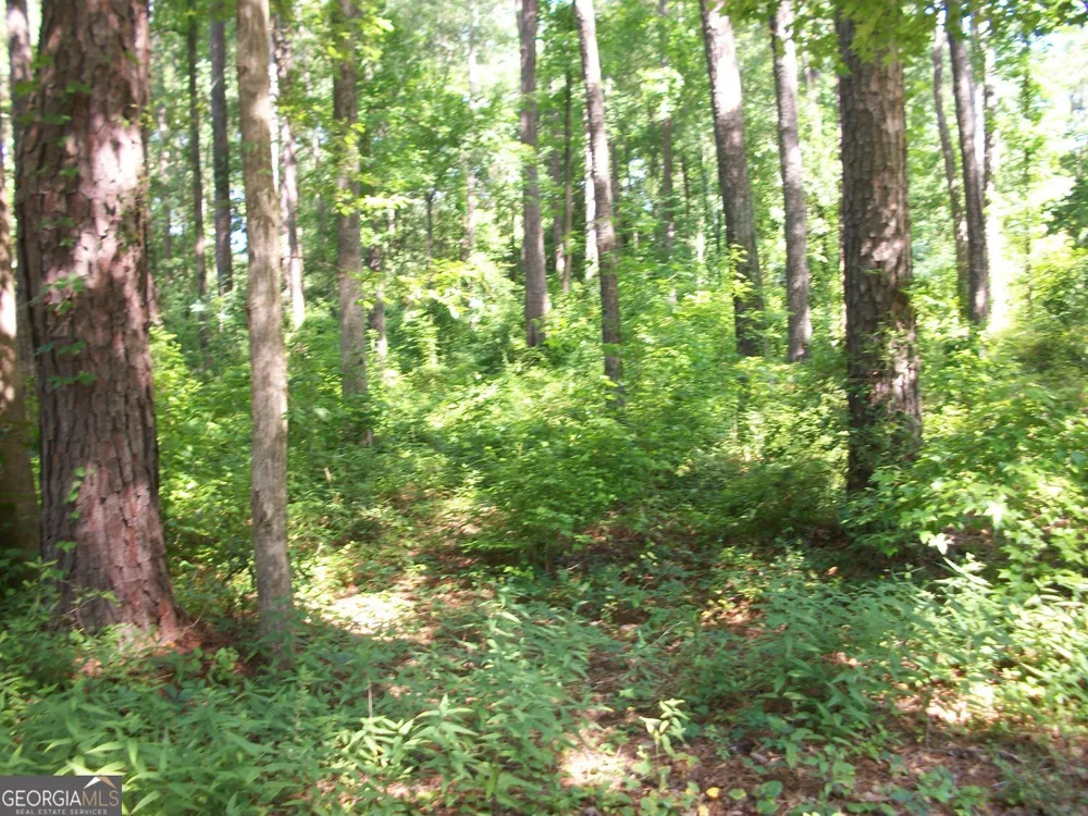 43 Shady LN Jackson, GA 30233