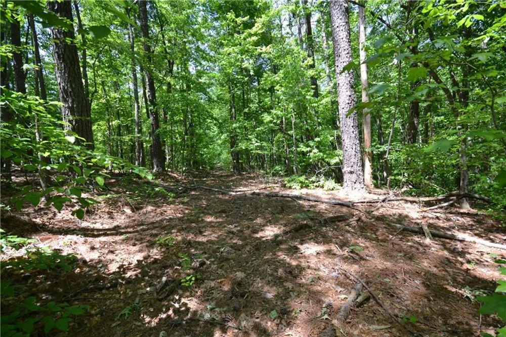 5960 Georgia Highway 120 Buchanan, GA 30113