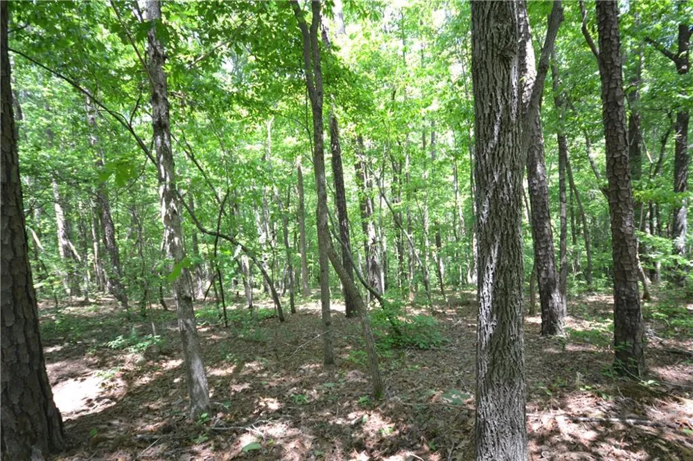 5960 Georgia Highway 120 Buchanan, GA 30113