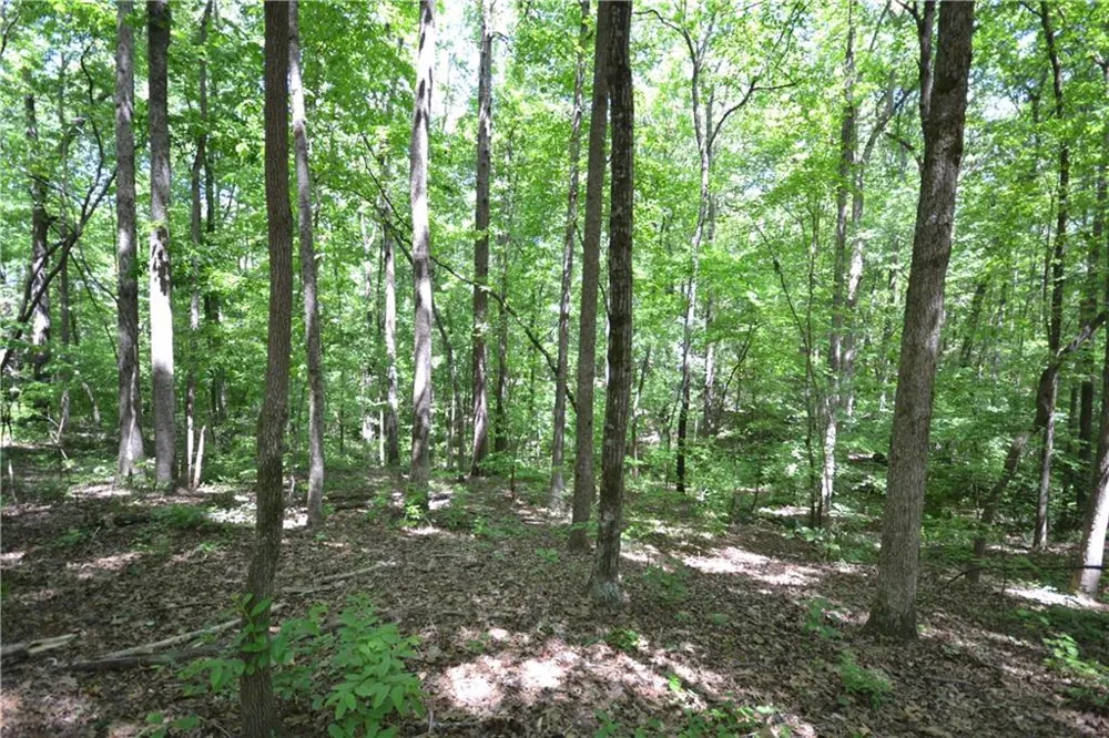 5960 Georgia Highway 120 Buchanan, GA 30113
