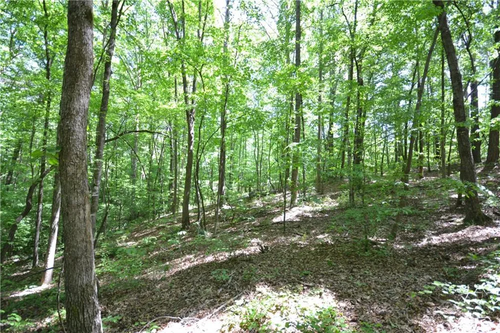 5960 Georgia Highway 120 Buchanan, GA 30113