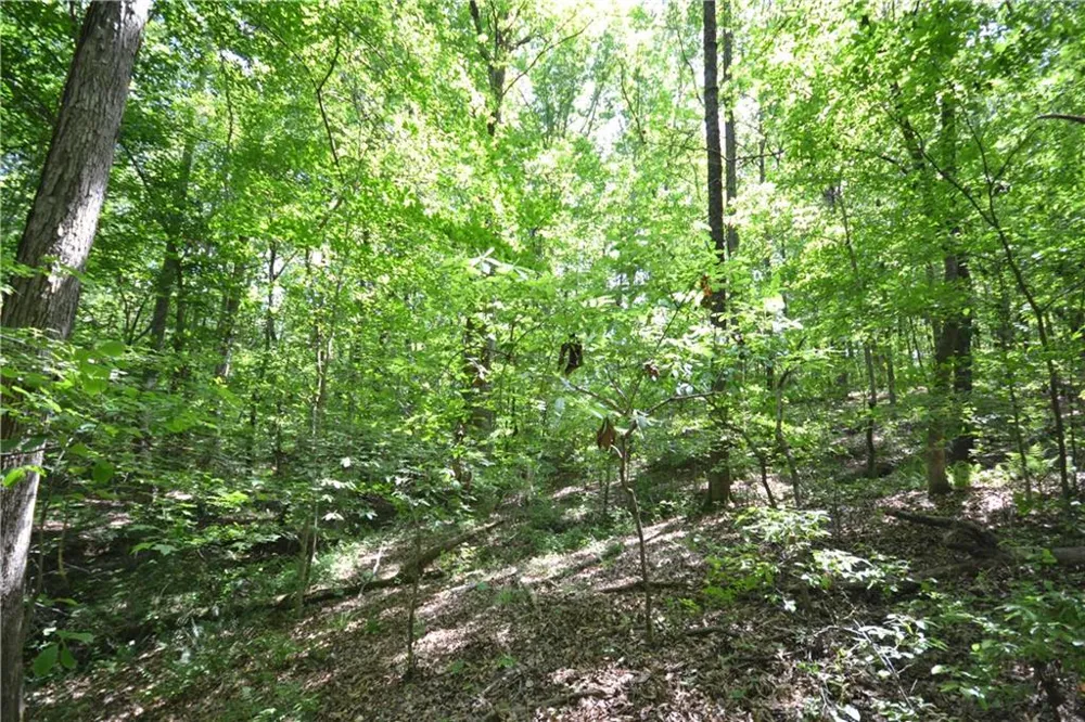5960 Georgia Highway 120 Buchanan, GA 30113