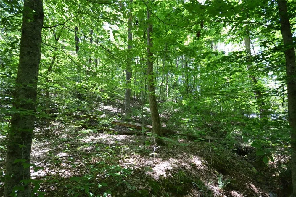 5960 Georgia Highway 120 Buchanan, GA 30113