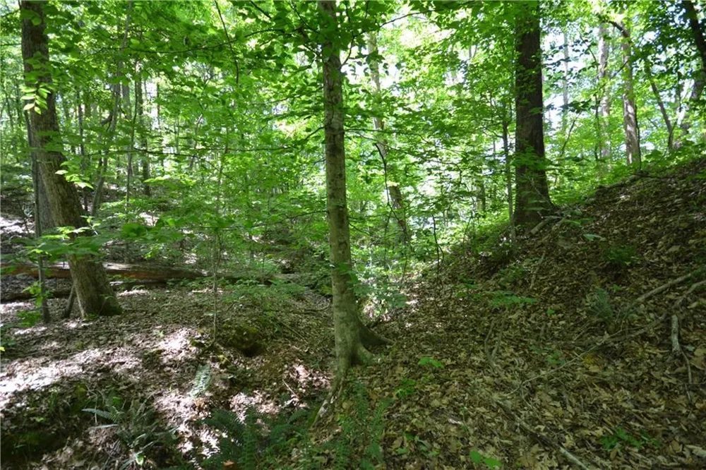 5960 Georgia Highway 120 Buchanan, GA 30113