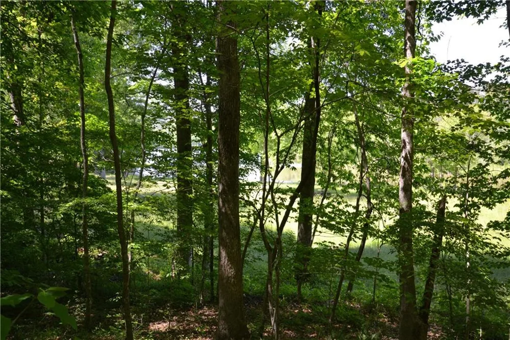 5960 Georgia Highway 120 Buchanan, GA 30113