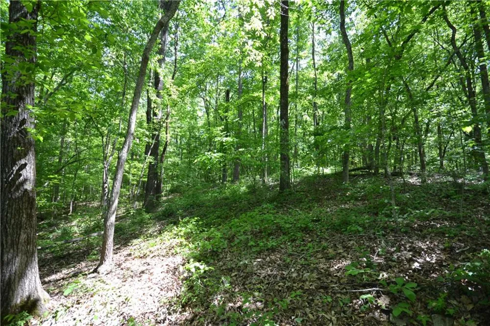 5960 Georgia Highway 120 Buchanan, GA 30113