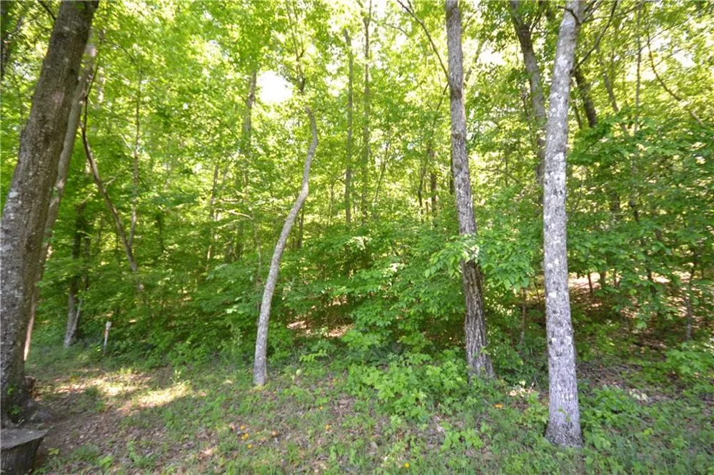 5960 Georgia Highway 120 Buchanan, GA 30113