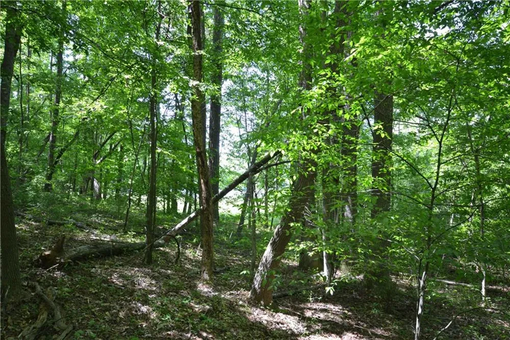 5960 Georgia Highway 120 Buchanan, GA 30113