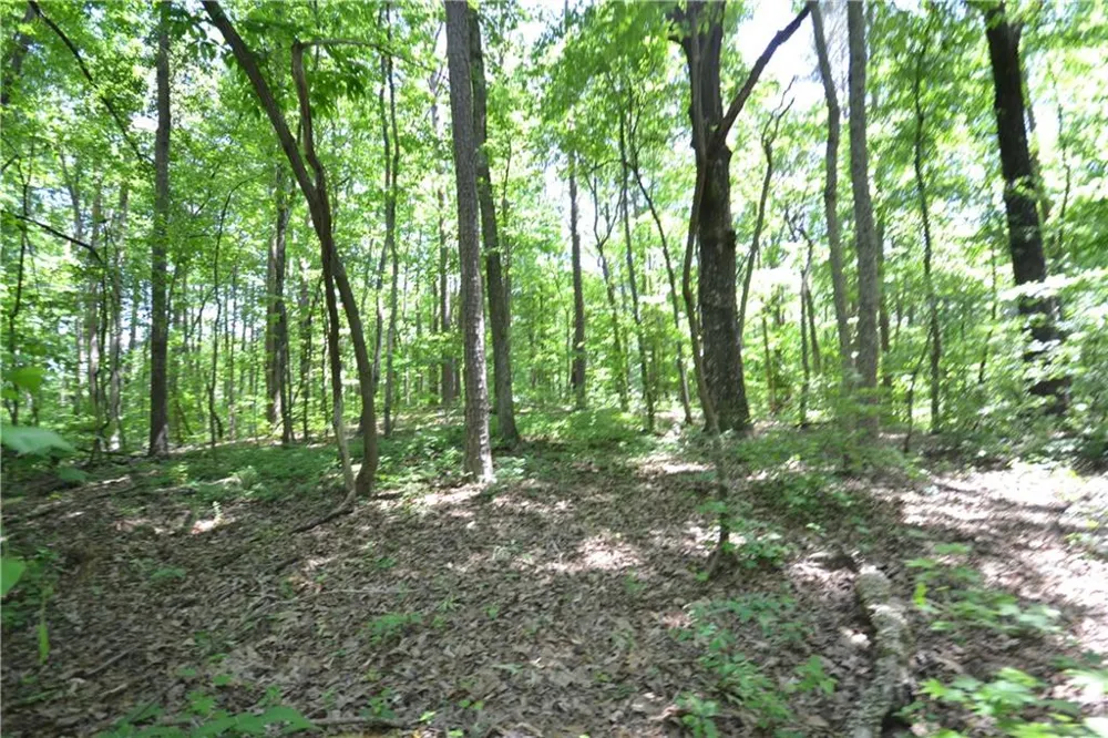 5960 Georgia Highway 120 Buchanan, GA 30113