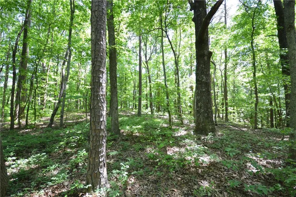 5960 Georgia Highway 120 Buchanan, GA 30113