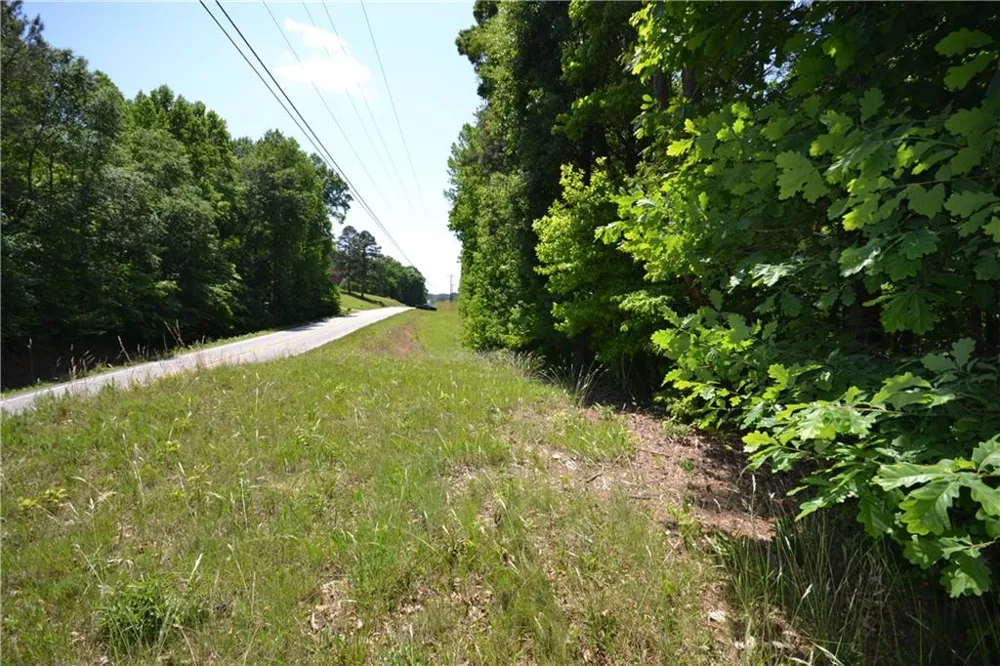 5960 Georgia Highway 120 Buchanan, GA 30113