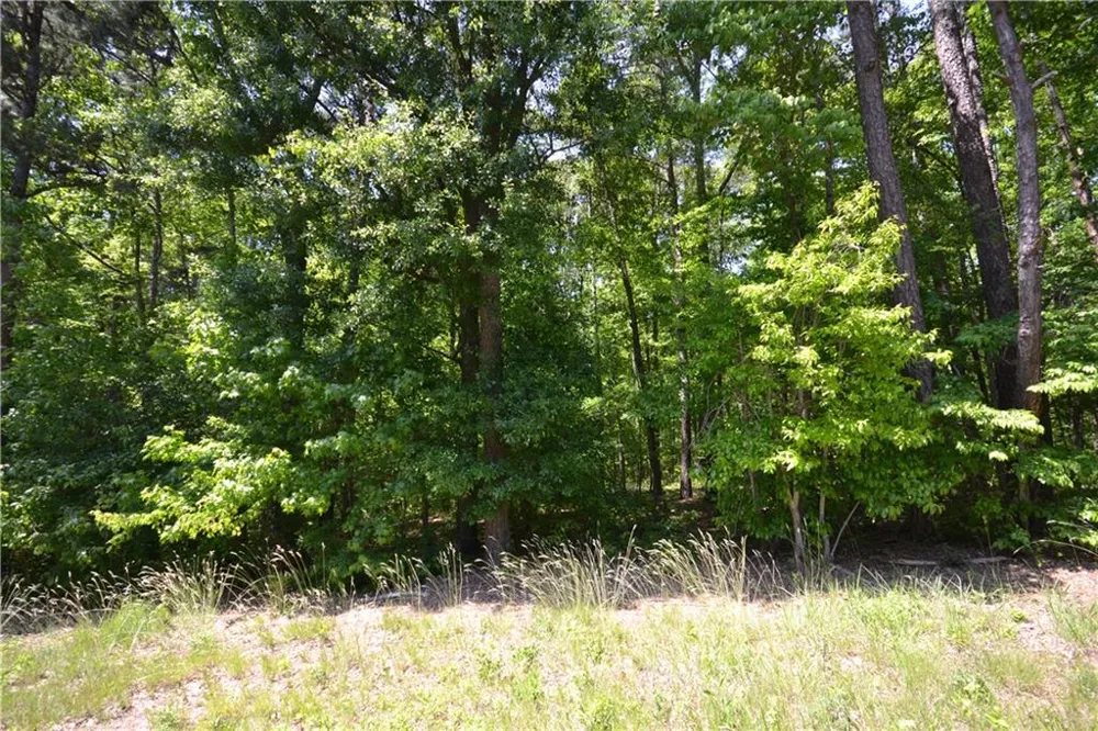 5960 Georgia Highway 120 Buchanan, GA 30113
