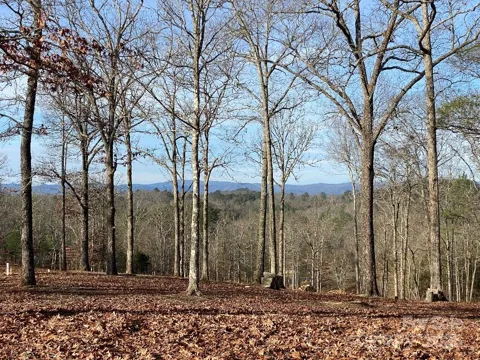 10 Arbor Creek Trail #10
