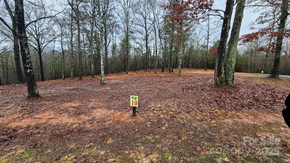 10 Arbor Creek Trail #10 Mineral Bluff, GA 30559