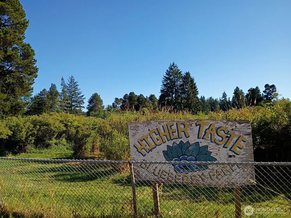 30431 38th Avenue S Auburn, WA 98001