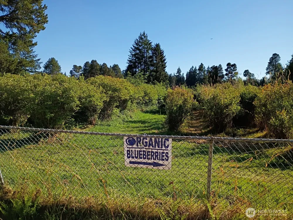 30431 38th Avenue S Auburn, WA 98001