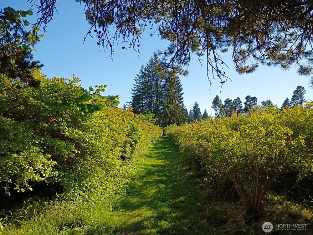 30431 38th Avenue S Auburn, WA 98001