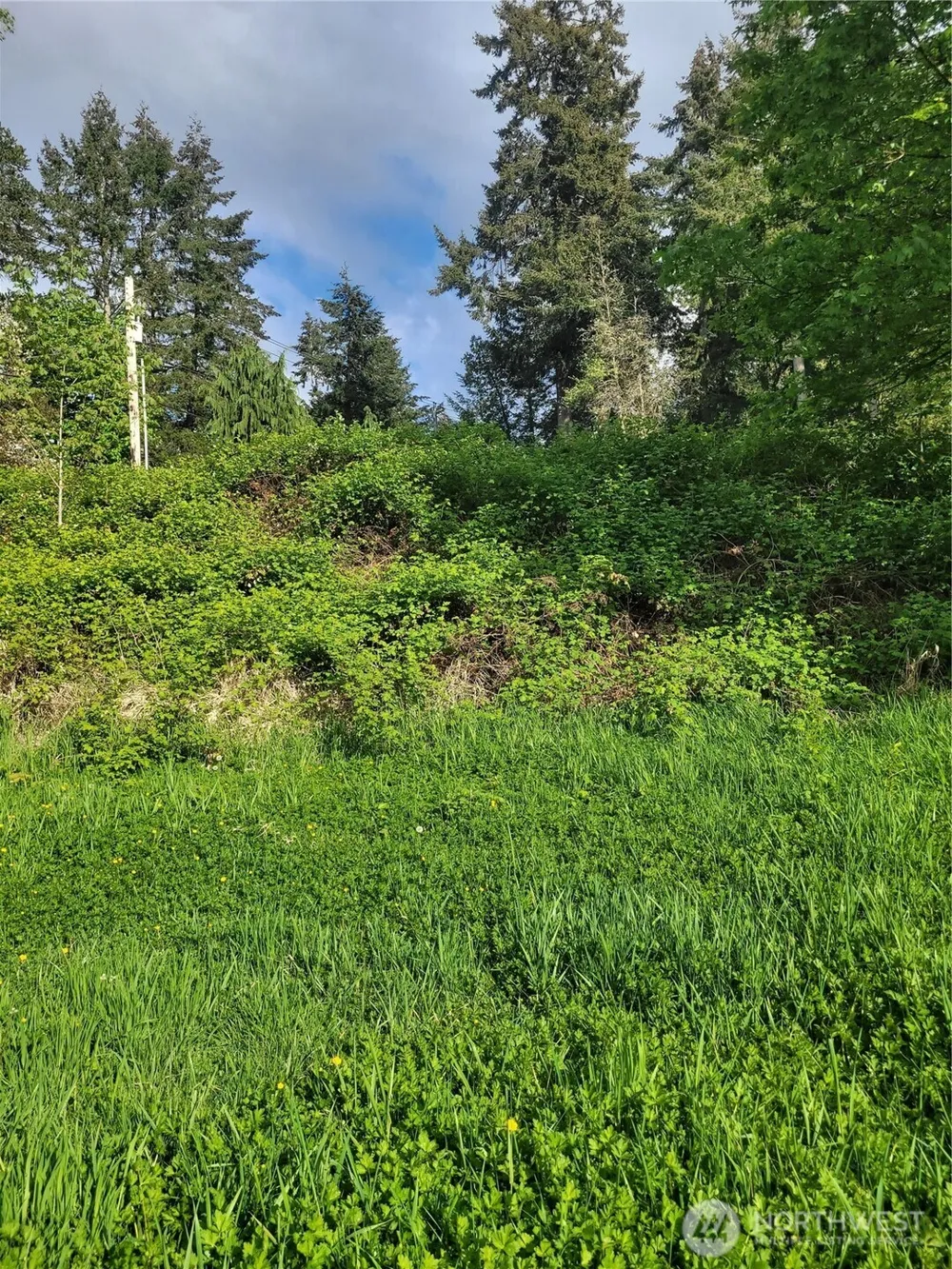 30431 38th Avenue S Auburn, WA 98001