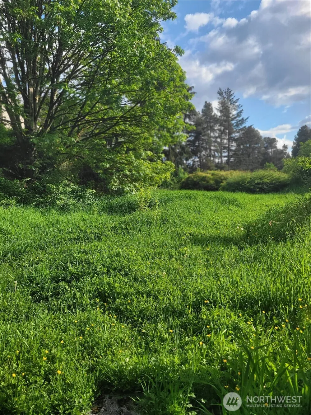 30431 38th Avenue S Auburn, WA 98001