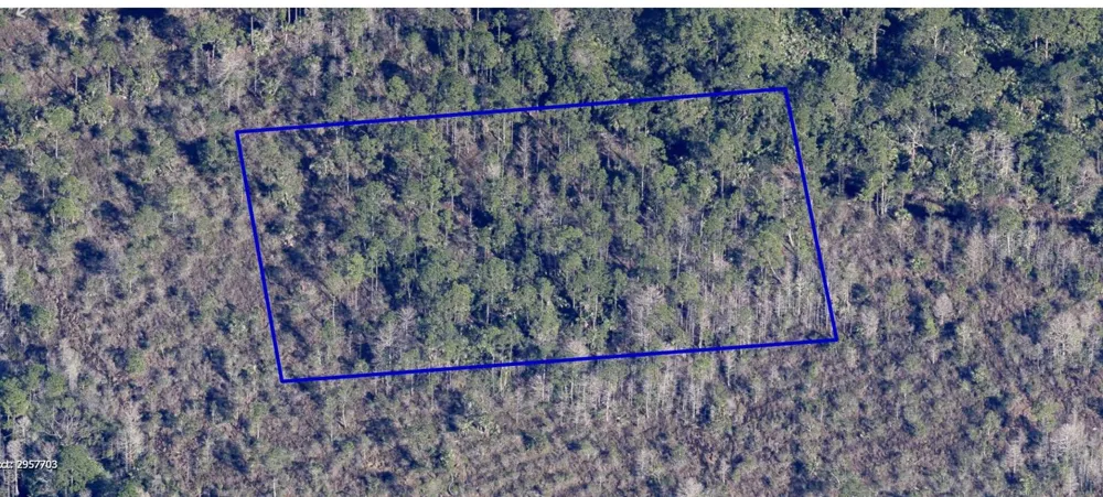 NO NAME Grant, FL 32949