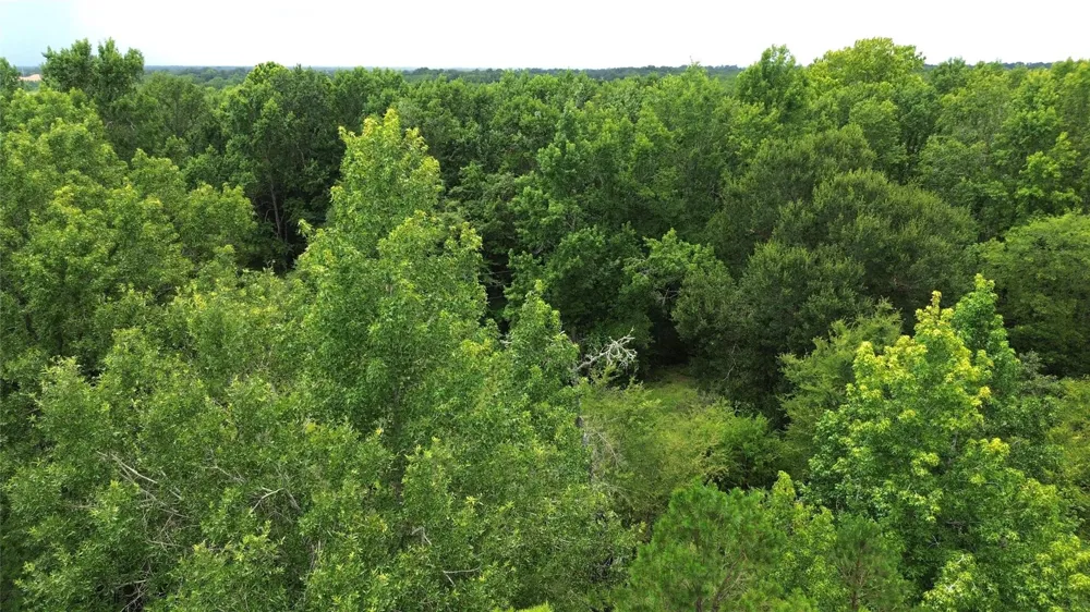 2 Cr 2065 Crockett, TX 75835