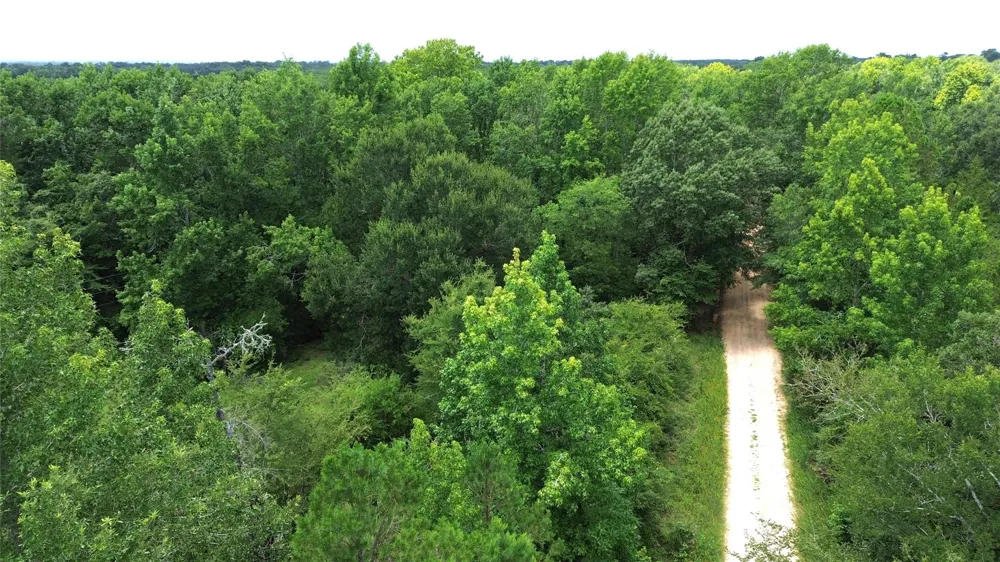 2 Cr 2065 Crockett, TX 75835