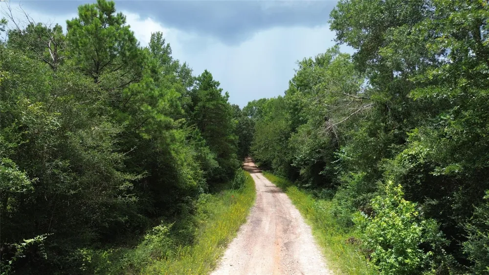 2 Cr 2065 Crockett, TX 75835