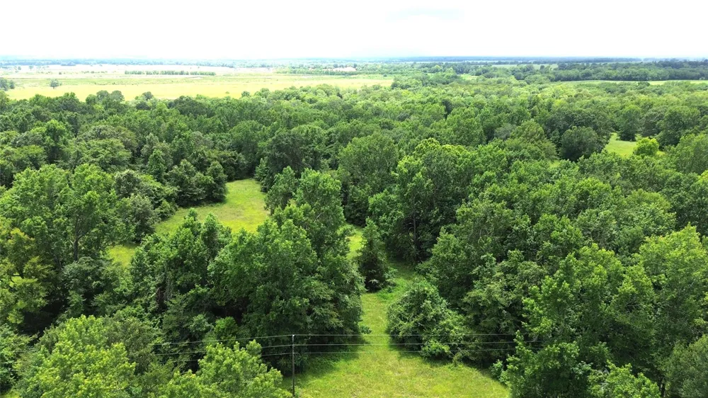 2 Cr 2065 Crockett, TX 75835