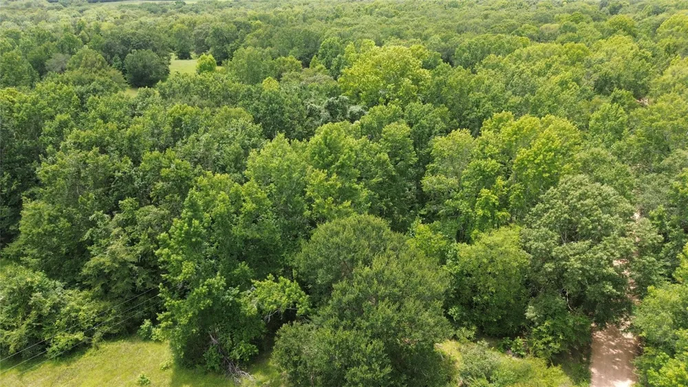 2 Cr 2065 Crockett, TX 75835