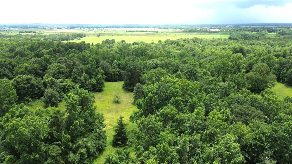 2 Cr 2065 Crockett, TX 75835