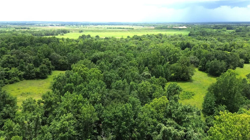 2 Cr 2065 Crockett, TX 75835