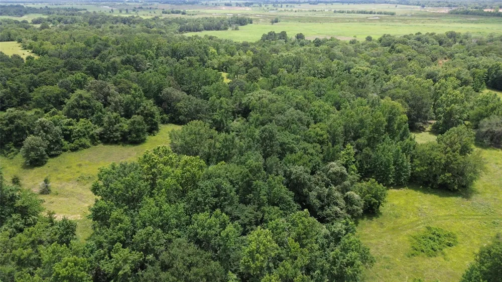 2 Cr 2065 Crockett, TX 75835