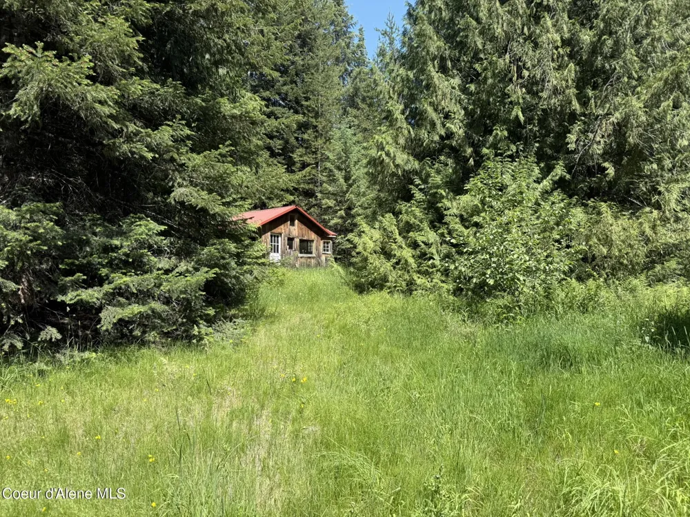 467 Dusty Ln St. Maries, ID 83861