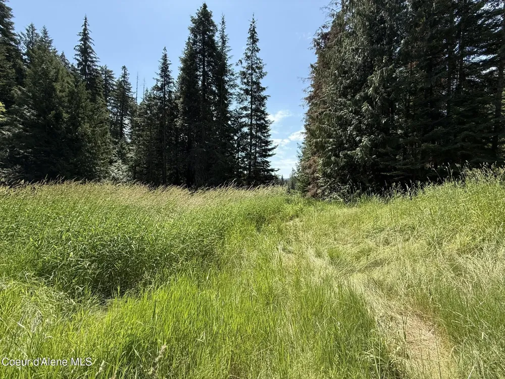 467 Dusty Ln St. Maries, ID 83861